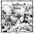 DISASTROUS MURMUR -  SKINNING BEGINNING 1989-1991